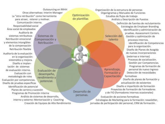 Ciclo de Vida 